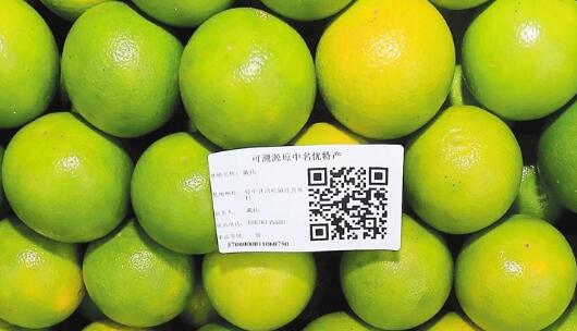 水果追溯管理系統當真能提高消費者信任度嗎